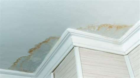 Brown Stain on Ceiling But No Leak: Causes and。